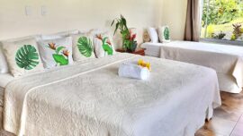 Capuchin-room