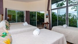 Habitacion-iguana-1-1