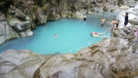 Posas-Azules-1536x1024